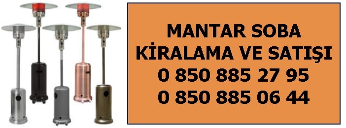 Mantar soba kiralama ve sat fiyatlar