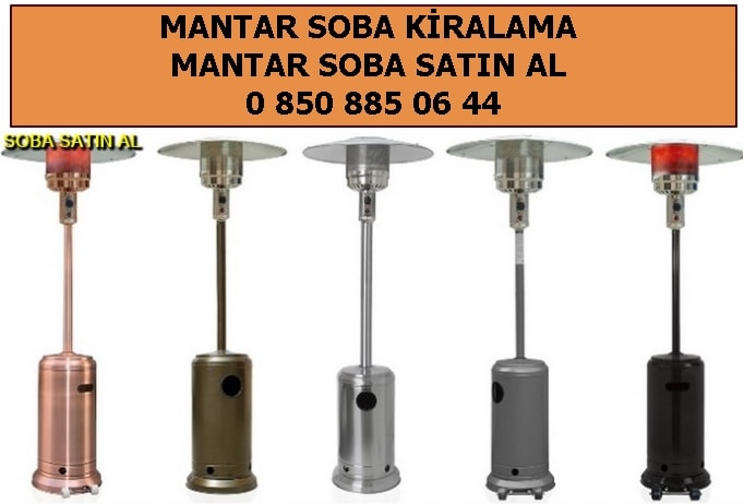 Palmiye mantar soba kiralama satn al